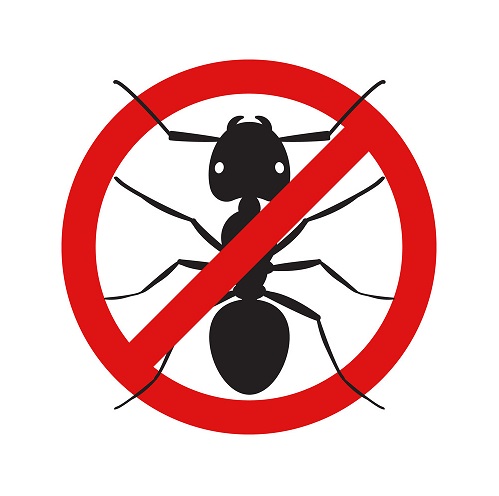 Ant Control