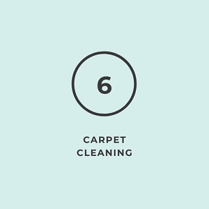 Six Carpet Cleaning of Ric