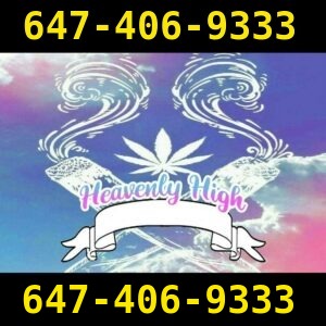 Heavenly High