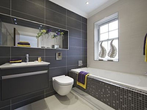 Lakeshore Floor-Carp