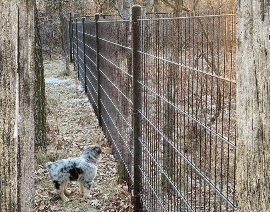 Wallace + Wallace Fences a