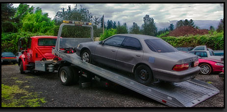 Giant Bicycle Halifa