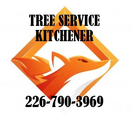 Tree Service Kitchener