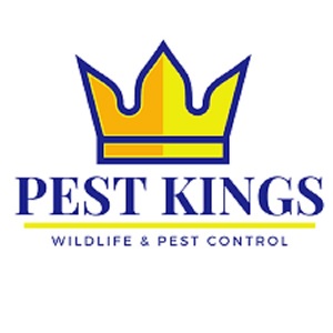 Pest Kings - Vaughn Pest C