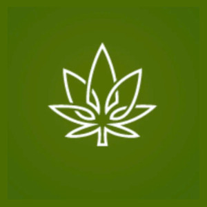 Cannabuzz Hamilton