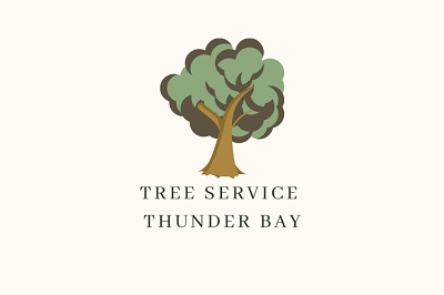 Tree Service Thunder Bay