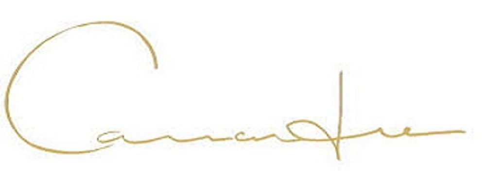 SUN VIXEN SWIMWEAR I