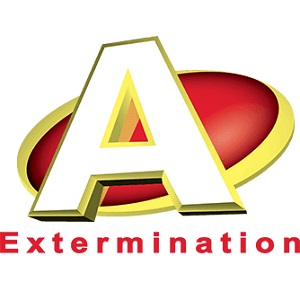 A Extermination (Sainte-Ju