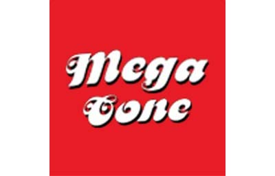 Mega Cone Creamery Inc.