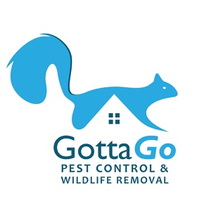 Pest Control Toronto