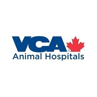 VCA Canada 404 Veterinary 