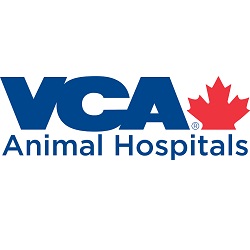 Port Colborne Animal Hospi