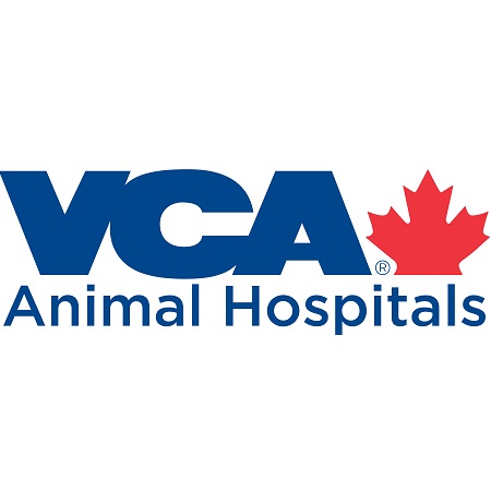 London Regional Veterinary