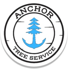 Anchor Tree Service - Arbo