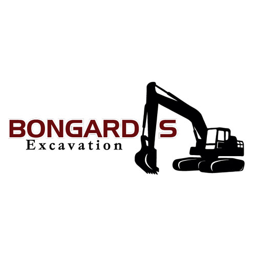 Bongard`s Excavation