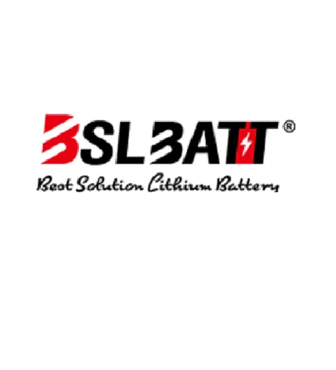 BSLBATT® Lithium Battery 