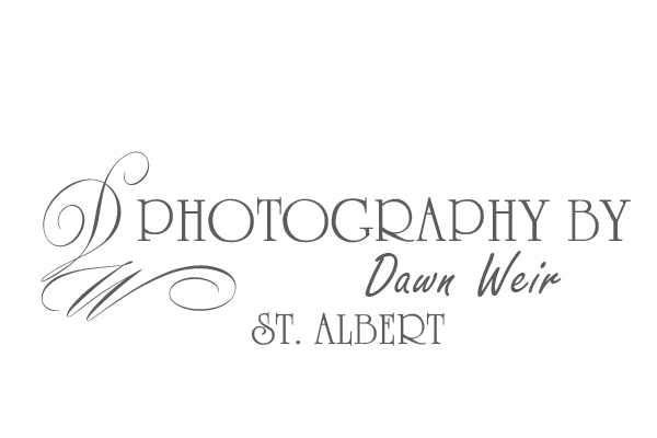 Photography By Dawn Weir