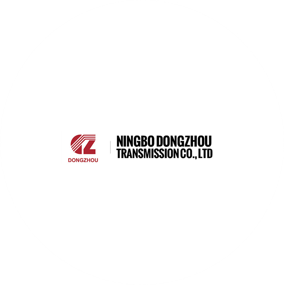 Ningbo Dongzhou Transmissi